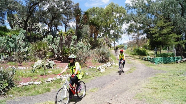 bicicleta de montana
